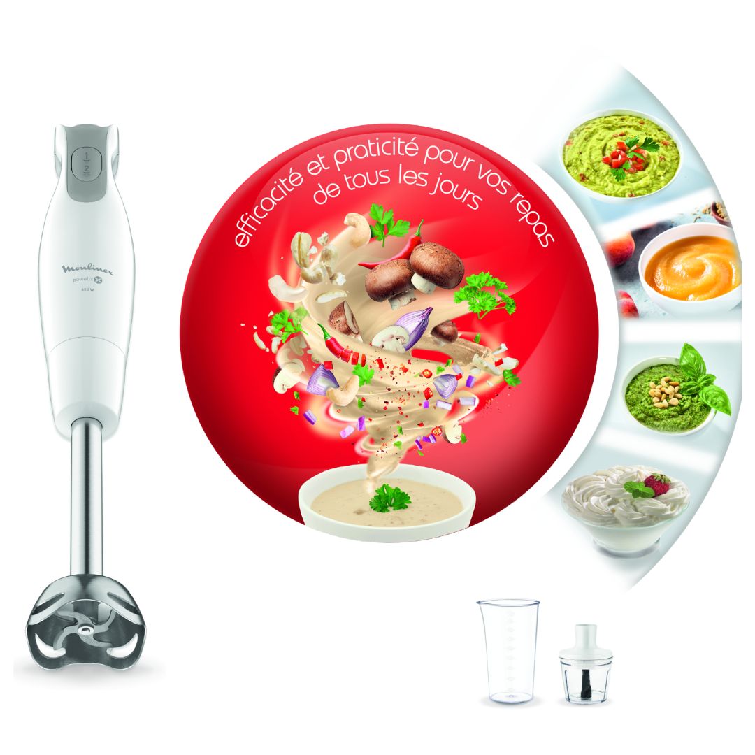 Mixeur Plongeant Moulinex Easychef - 600W - DD552110