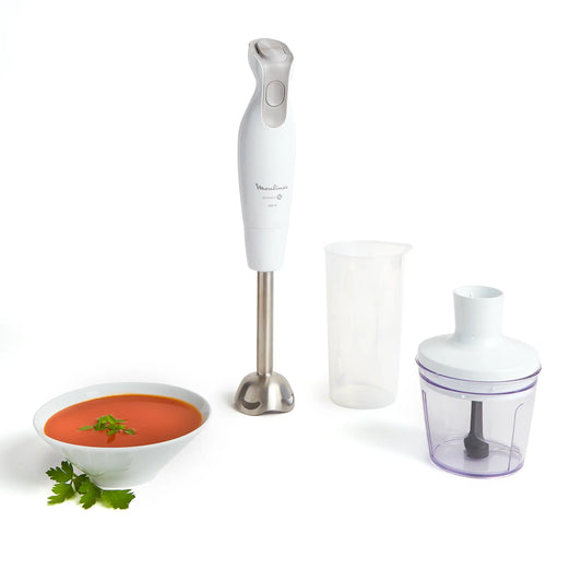 Mixeur Plongeant Moulinex Easychef - 600W - DD552110